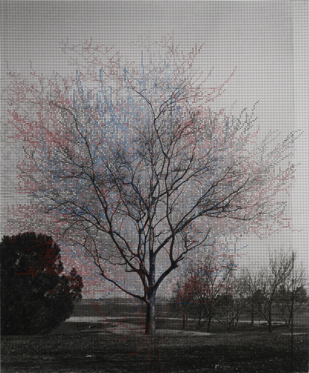 Image of artwork Numbers and Trees × #4, Red Violet January, by Charles Gaines