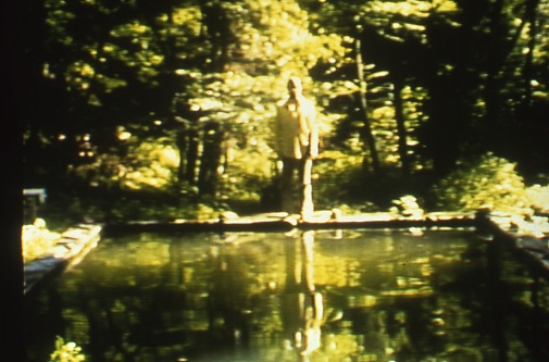 Image of artwork The Reflecting Pool-Collected Work 1977-80 by Bill Viola