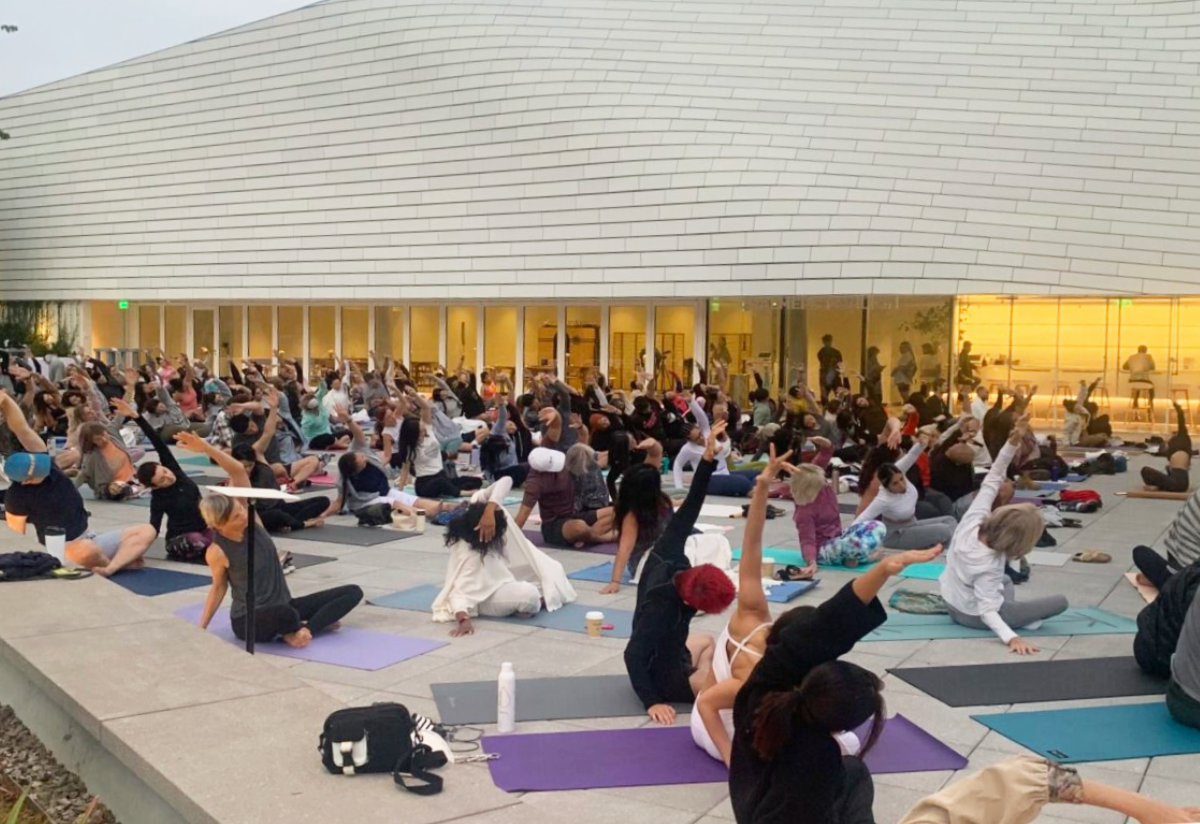 Yoga Free Flow Orange County Museum